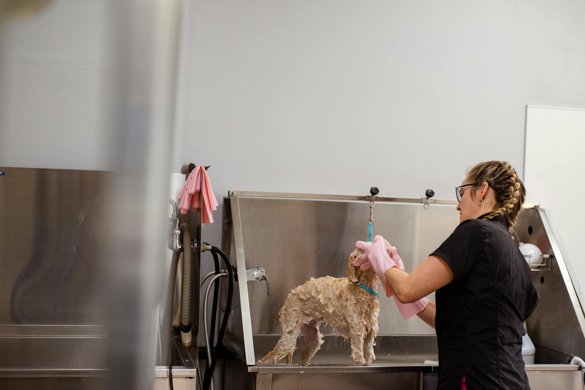 Groomer kąpie małego psa w salonie, delikatna pielęgnacja po adopcji